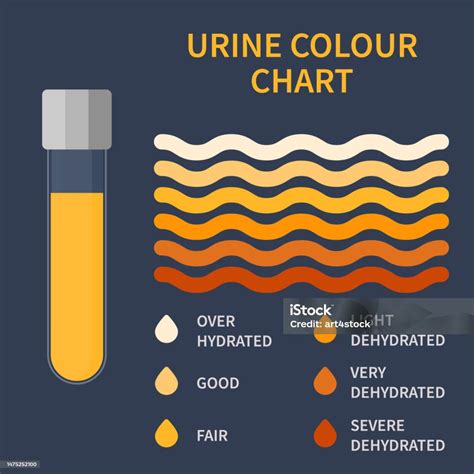 Urine Color Chart Illustration Of Dehydration Level Stock Illustration - Download Image Now - iStock