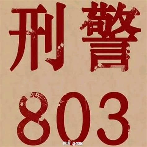 中国刑警803 - 快懂百科