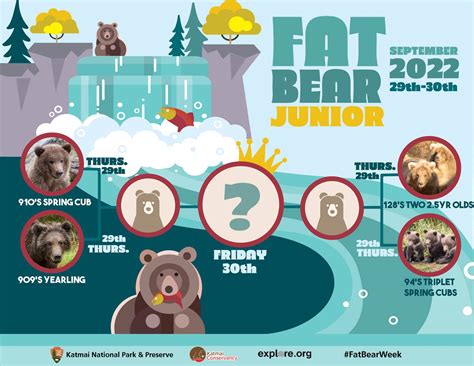 Spotlight on the chubby cubbies: Fat Bear Junior is the portly prelude to Fat Bear Week ...
