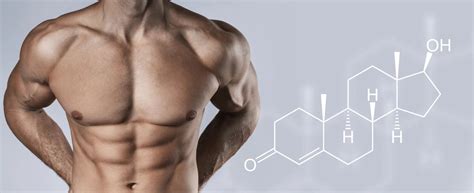 The Guide to Testosterone Booster Capsules: Pros and Cons - Nisarga Herbs