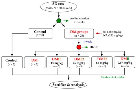 Fucoxanthin-Rich Brown Algae Extract Improves Male Reproductive ...