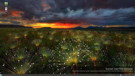 Bing Picture of the Day 的图像结果