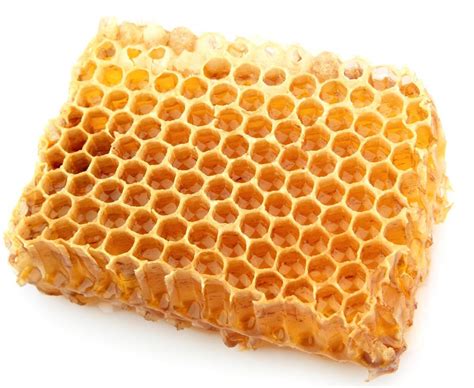 honeycomb kota wisata