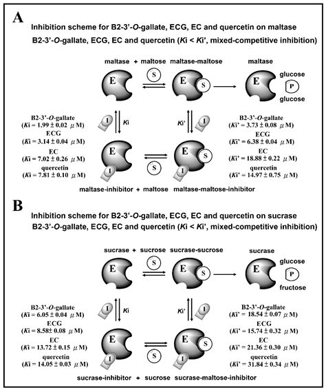 Characterization of Maltase and Sucrase Inhibitory Constituents from ...