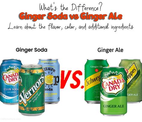 Ginger Soda vs Ginger Ale: What's the Difference?