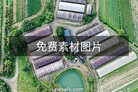 Management 图片 的图像结果