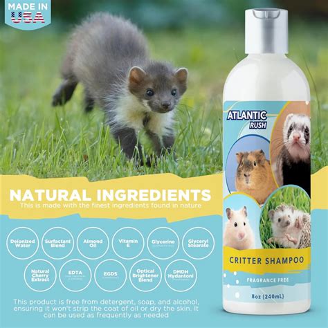 Best Shampoo for Guinea Pigs - My Top 3 Recommendations