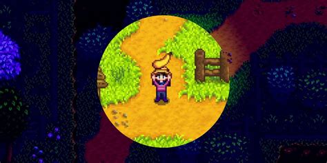 Where To Find Summer Squash Seeds In Stardew Valley
