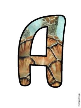 ART IS TURTLE-LLY COOL! Turtle Bulletin Board Letters school resource ...