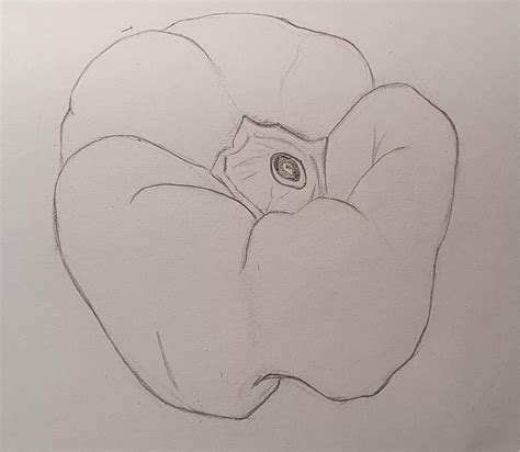 Drawing Using Contours 的图像结果