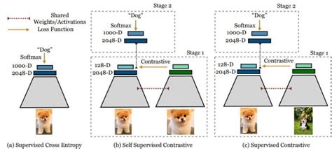 Image result for Contrastive Learning Loss