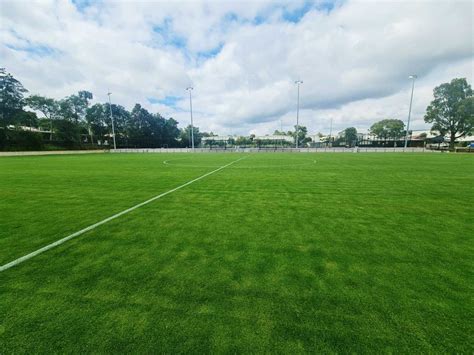 Sportsfield at School 的图像结果