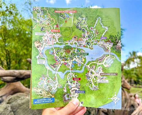 See What’s Changed on the NEW PARK MAP for Disney’s Animal Kingdom! - Disney by Mark