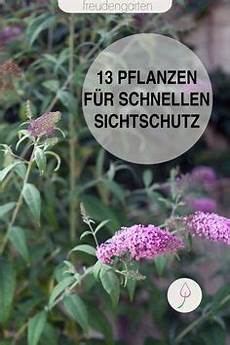 schnellwachsende pflanze als sichtschutz schnell wachsende pflanzen schnell wachsende pflanzen schnellwachsende pflanze als sichtschutz schnell wachsende pflanzen schnell wachsende pflanzen