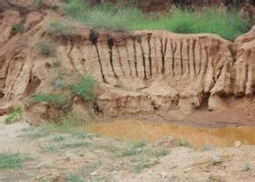 Figure 1.4: Filter sand peparation in Therubeedhi village, Kanakapura ...