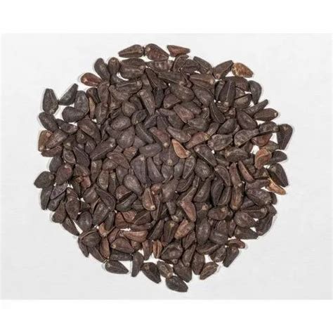 Flower Seeds - Red choor arecanut Trader - Retailer from Bengaluru