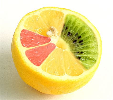 Genetically Modified 的图像结果