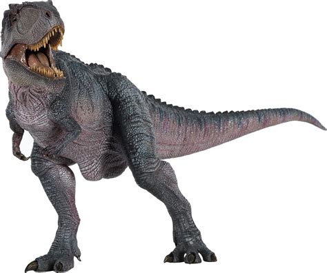 Realistic Nanmu Giganotosaurus Dinosaur Figure - India | Ubuy