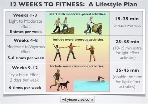 Image result for Exercise Programs for Free