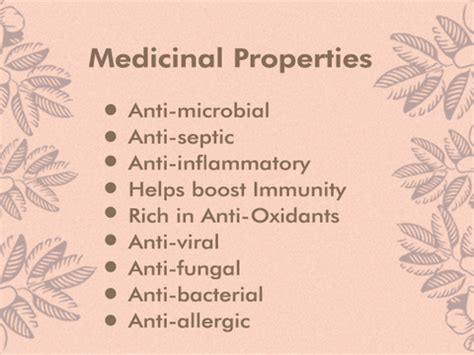 Acacia Honey - 250g - Natural – Praakritik - Go Organic, Grow Organic