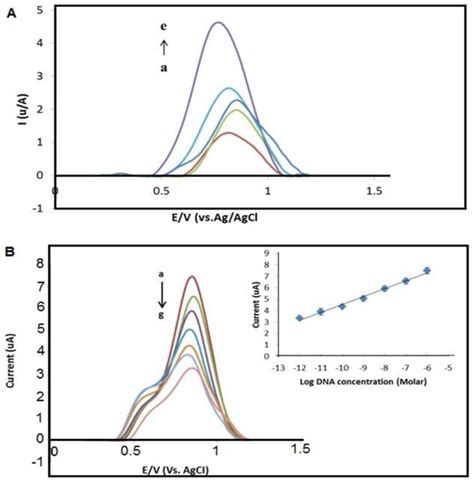 DNA Electrochemical Biosensor Based on Iron Oxide/Nanocellulose ...