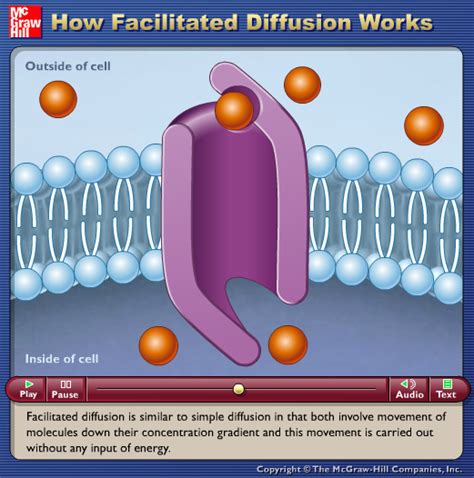 Image result for Animation How Diffusion Animation How Diffusion Works