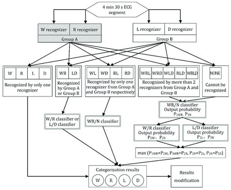 Classification Procedure 的图像结果