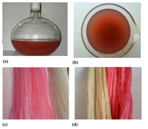Textiles | June 2021 - Browse Articles