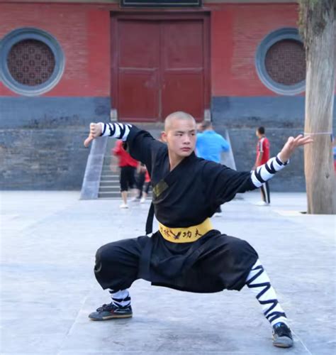 Buy Traditional Wushu Shaolin Monk Suits Cotton Martial Arts Online in ...