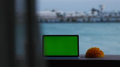 Beach Green screen 的图像结果