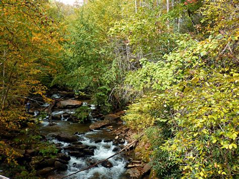 Curtis Creek Campground North Carolina: Camping, Hiking & Fishing