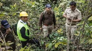 लैंसडाउन जंगल में लगी भीषण आग, दो वनकर्मी झुलसे; मॉक ड्रिल में परखी ...