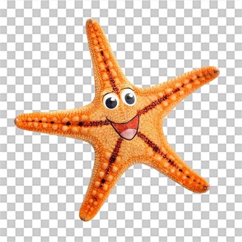 Smiling starfish isolated on transparent background | Premium AI ...