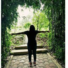 Bhoomika Chaudhry (Bhoomika) Quotes | YourQuote