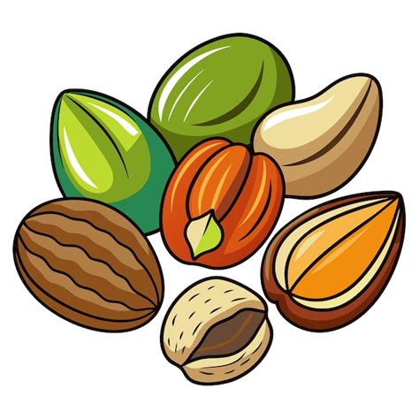 Set of different nuts clip art and Vector Design With White Background ...