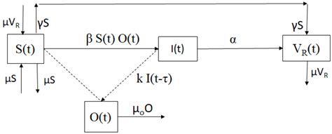 Mathematical Modeling of Toxoplasmosis Considering a Time Delay in the ...