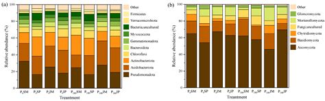 Effects of Multi-Year Maize–Peanut Intercropping and Phosphorus ...
