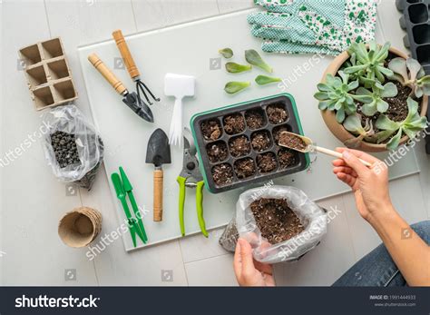 710 Cell Tray Plants Images, Stock Photos & Vectors | Shutterstock