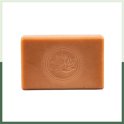 Naija Organics Aloe Vera and Mint Soap for Bath – NaijaOrganics.in