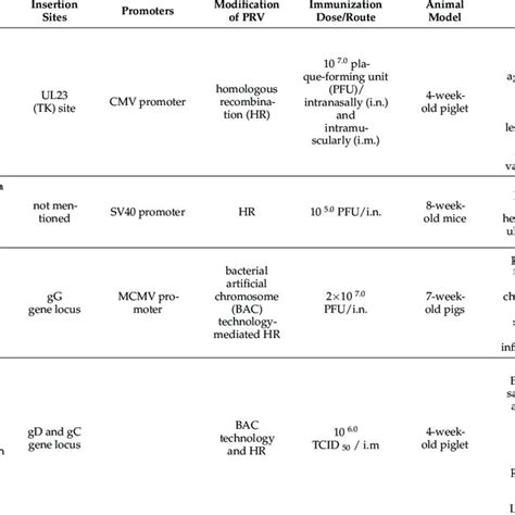 Image result for How Does PRV Operates