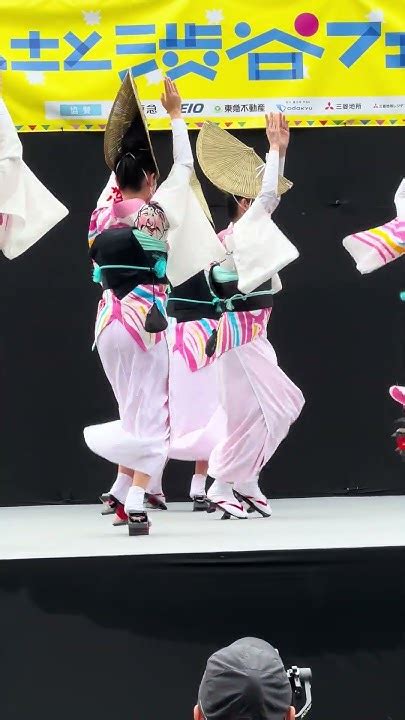 Image result for Cool Python