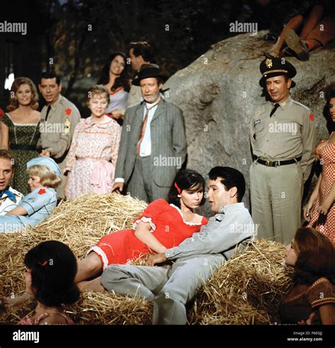 RELEASED: Mar 6, 1964 - Original Film Title: Kissin' Cousins. PICTURED ...