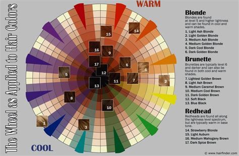brown hair color wheel