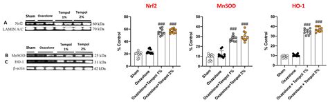 Efficacy of the Radical Scavenger, Tempol, to Reduce Inflammation and ...