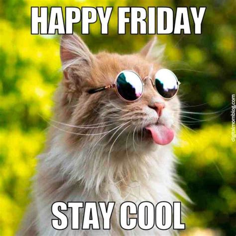 Kickstart Your Weekend With These Hilarious Friday Memes! in 2024 ...