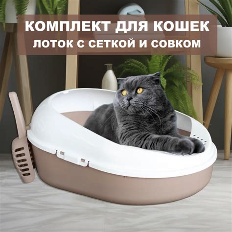 Большой лоток для кошек с высоким бортом сеткой и совком (Какао) 52*38 ...
