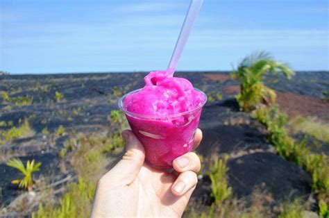 Local Food Examples 的图像结果