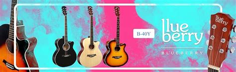 BLUEBERRY B-40, Acoustic Guitar Kit Inbuilt Truss Rod, with Bag, Belt ...