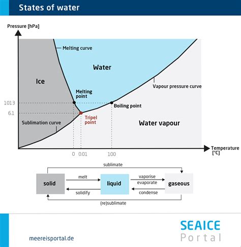 The freezing processes of sea ice in a nutshell. | Seaice portal