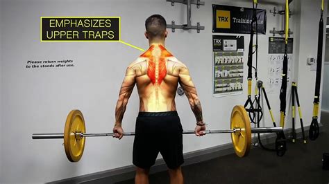Trapezius Upper Exercises